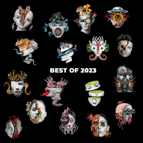 VA - Best Of 2023 [WR268]